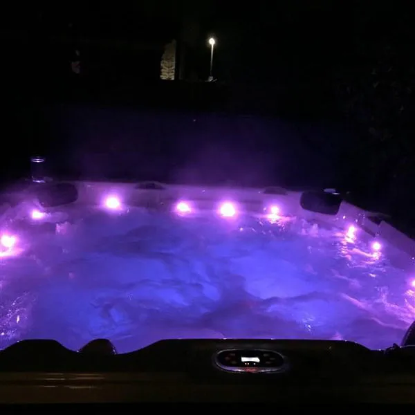 Niagara AI Hot Tub | 7-Person 60-Jet | 228 x 228 cm